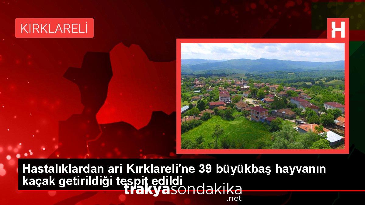 hastaliklardan-ari-kirklareline-39-buyukbas-hayvanin-kacak-getirildigi-tespit-edildi-jVI4fOa5.jpg