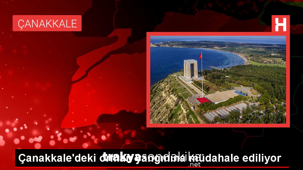 canakkalede-orman-yanginina-mudahale-ediliyor-zPY7w6Og.jpg