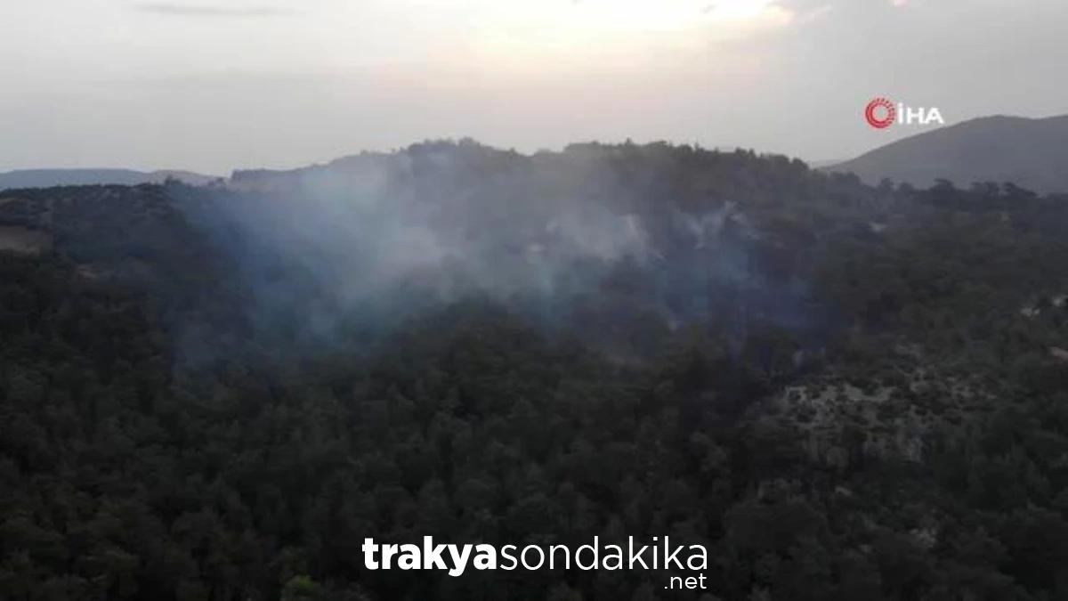 canakkaledeki-orman-yanginina-gunun-ilk-isiklariyla-hava-mudahalesi-basladi-OHUhkAtW.jpg