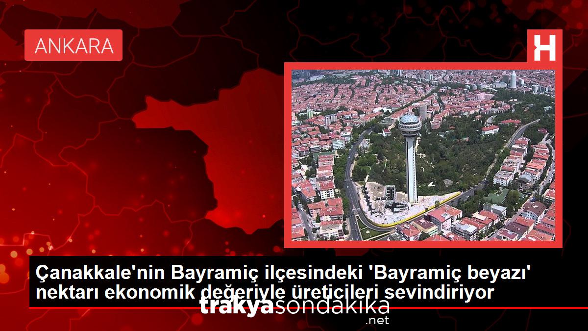 canakkalenin-bayramic-ilcesindeki-bayramic-beyazi-nektari-ekonomik-degeriyle-ureticileri-sevindiriyor-yAyWJ4Lx.jpg