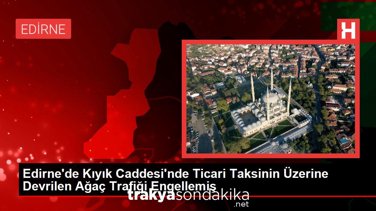 edirnede-kiyik-caddesinde-ticari-taksinin-uzerine-devrilen-agac-trafigi-engellemis-5HkimWiF.jpg