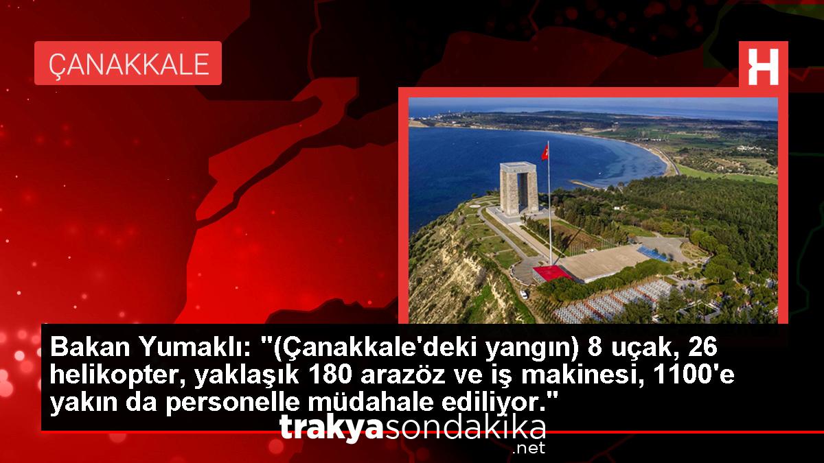 bakan-yumakli-canakkaledeki-yangin-8-ucak-26-helikopter-yaklasik-180-arazoz-ve-is-makinesi-1100e-yakin-da-personelle-mudahale-ediliyor-9dal6ZaD.jpg