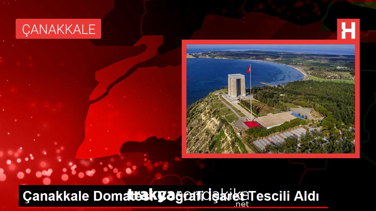 canakkale-domatesi-cografi-isaret-tescili-aldi-cRvsz9gQ.jpg