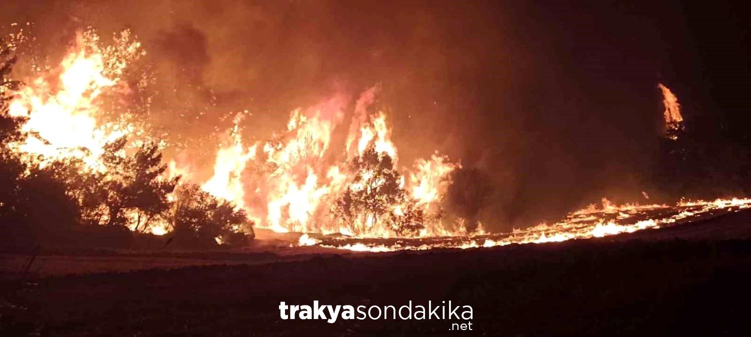 canakkalede-orman-yangininda-ekiplerin-mudahalesi-suruyor-FNGkN5aW.jpg