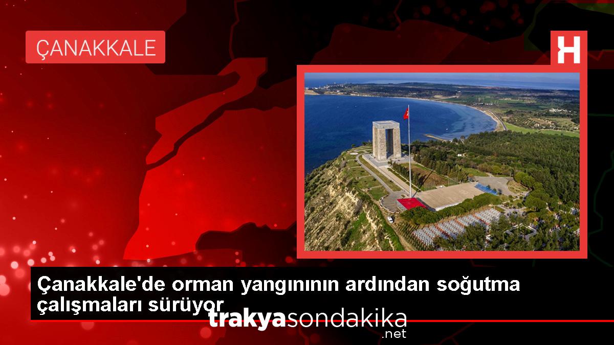 canakkaledeki-orman-yangininda-sogutma-calismalari-devam-ediyor-jdwirKJX.jpg