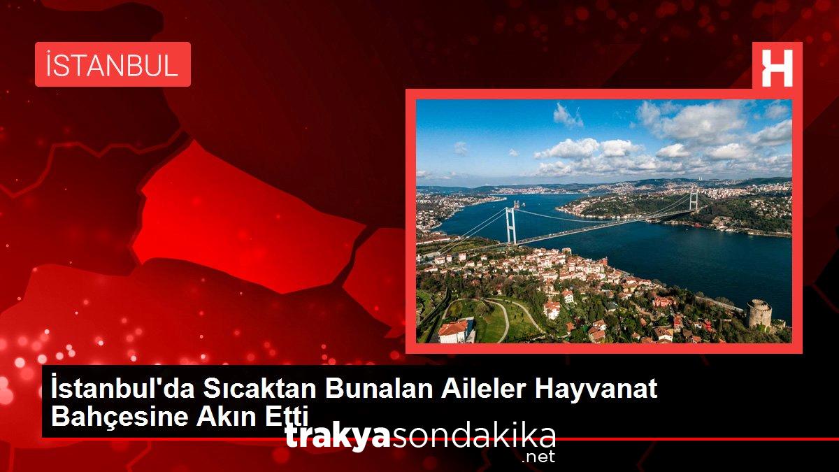 istanbulda-sicaktan-bunalan-aileler-hayvanat-bahcesine-akin-etti-SZhYnQ6k.jpg