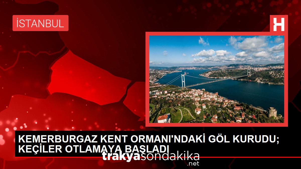 kemerburgaz-kent-ormanindaki-gol-tamamen-kurudu-QzEZ7mfk.jpg