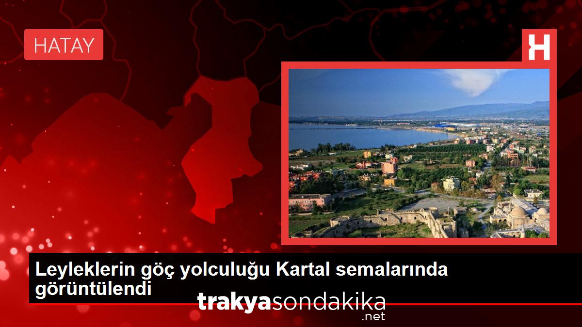 leyleklerin-goc-yolculugu-kartal-semalarinda-goruntulendi-6BR8Gq3Y.jpg