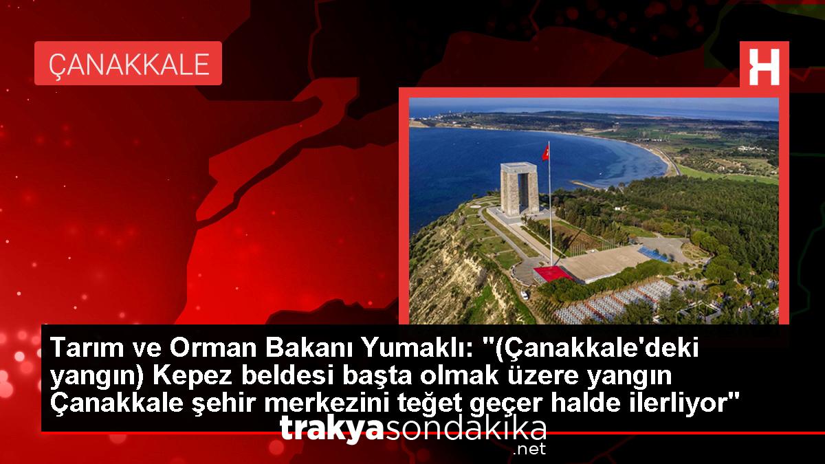 tarim-ve-orman-bakani-yumakli-canakkaledeki-yangin-kepez-beldesi-basta-olmak-uzere-yangin-canakkale-sehir-merkezini-teget-gecer-halde-ilerliyor-ELX5xZcl.jpg