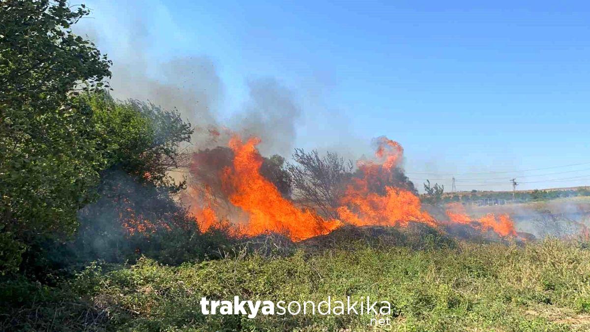 tekirdag-marmara-ereglisinde-yangin-kontrol-altina-alindi-P5pqQ7bI.jpg