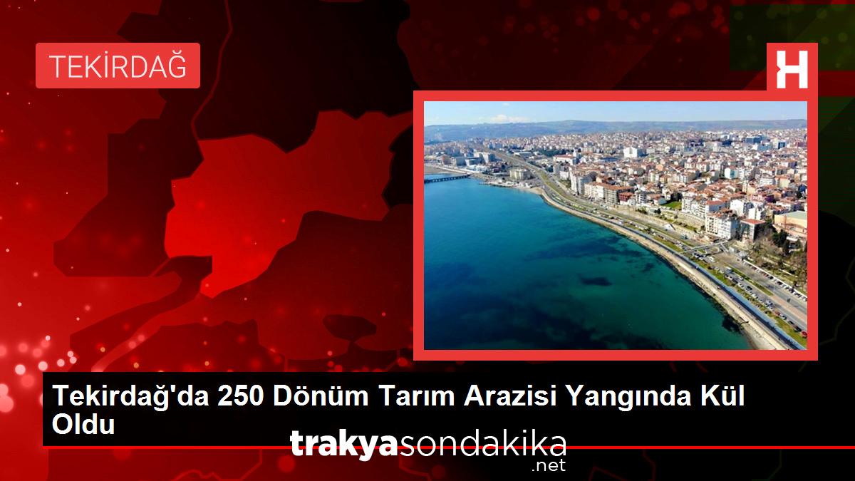 tekirdagda-250-donum-tarim-arazisi-yanginda-kul-oldu-uVhJzuEI.jpg