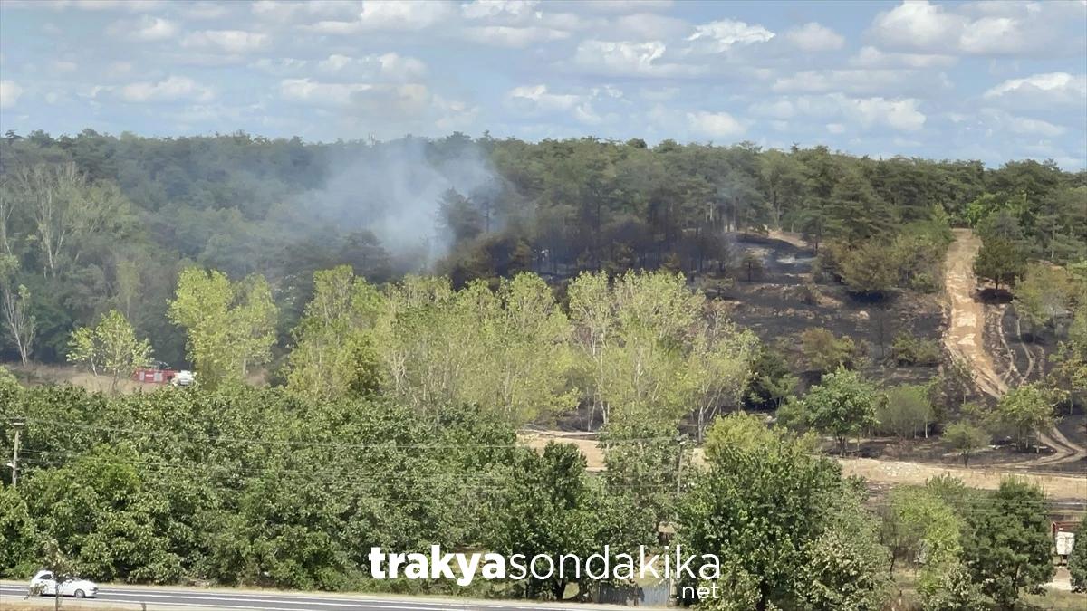 tekirdagda-ormanlik-alanda-cikan-yangin-sonduruldu-3fFOEBsv.jpg