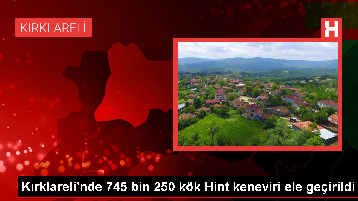 kirklarelinde-745-bin-250-kok-hint-keneviri-ele-gecirildi-kQHXhSzO.jpg