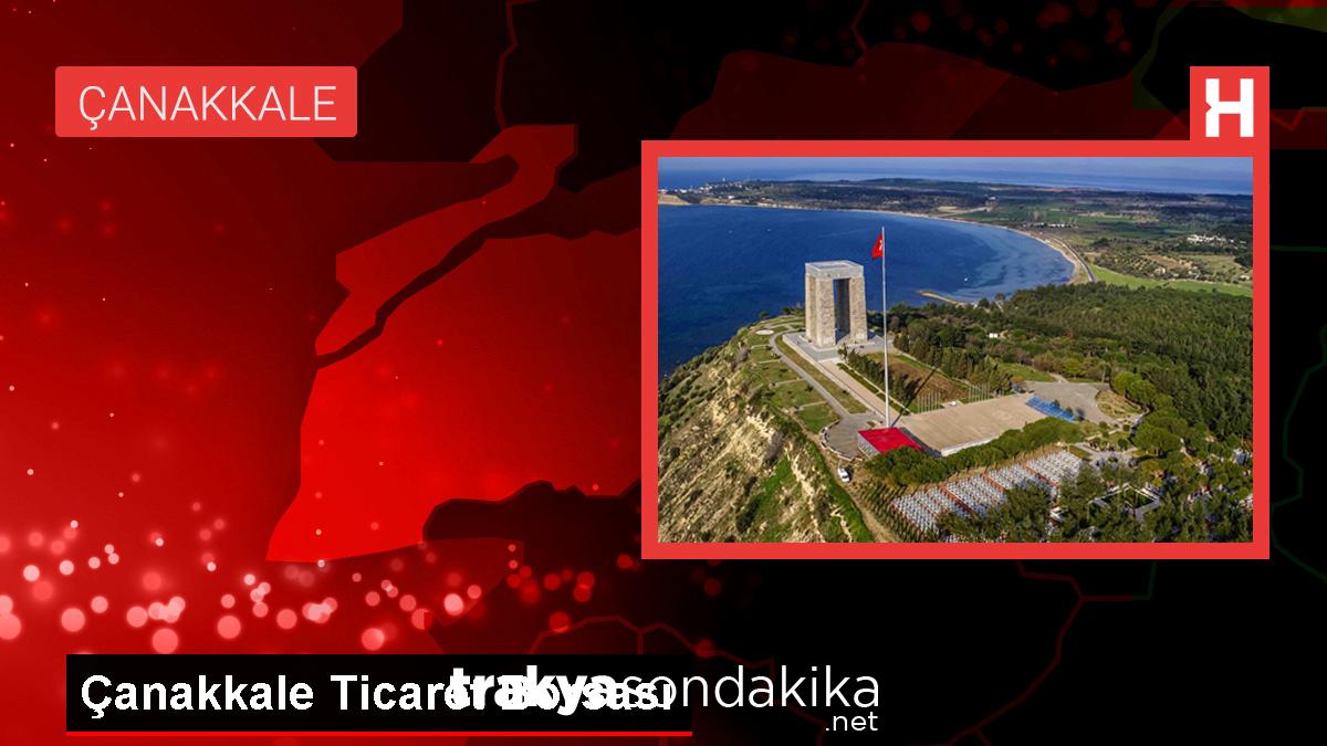 canakkale-ticaret-borsasinda-yaglik-aycicegi-fiyatlari-LtjbIVPC.jpg