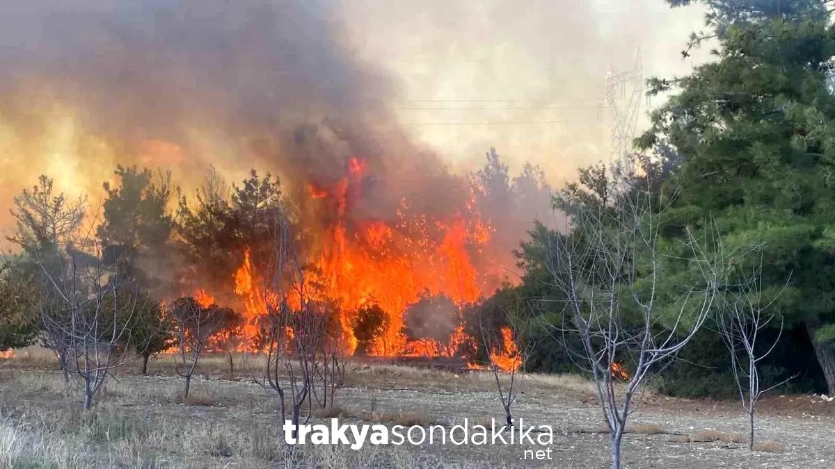 canakkalede-orman-yangini-ekipler-havadan-ve-karadan-mucadele-ediyor-Cn49A9sE.jpg