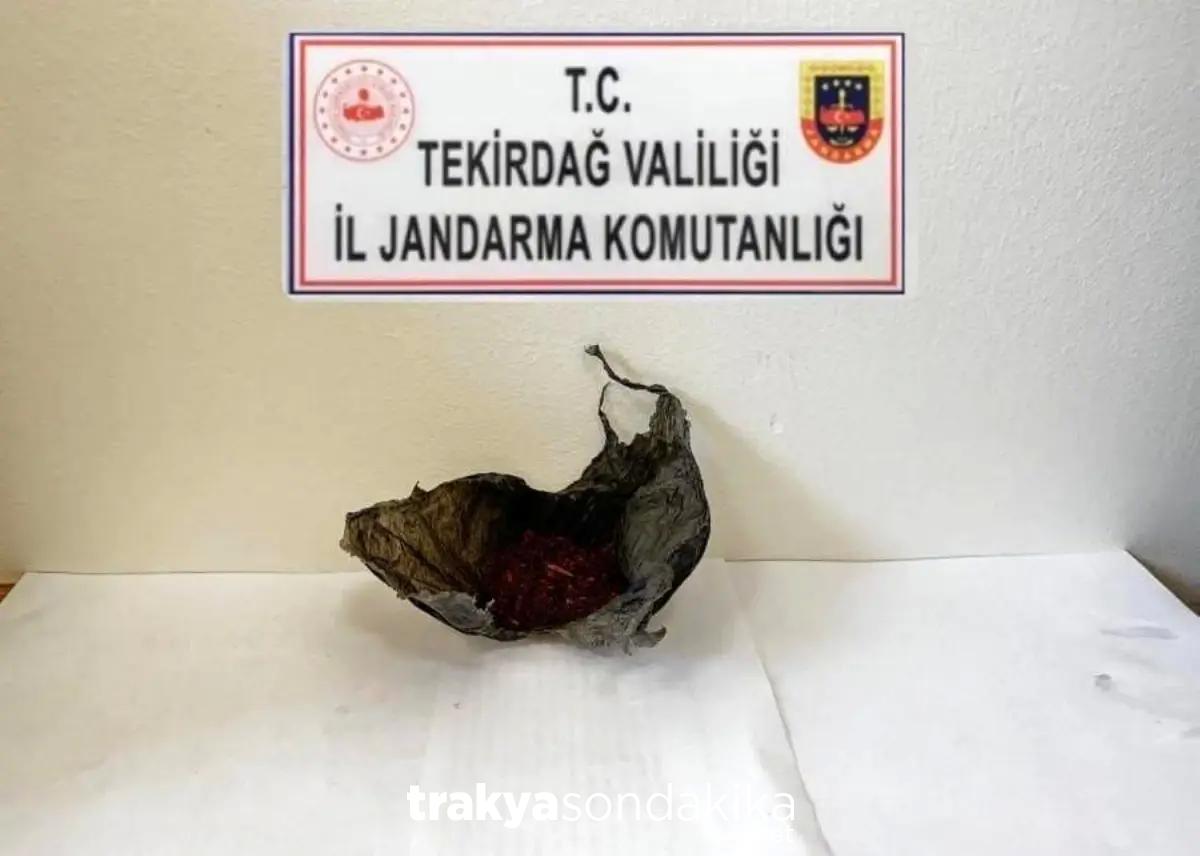 tekirdagda-jandarma-operasyonu-bonzai-ele-gecirildi-Qt5bJKbg.jpg